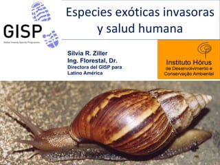 Especies exóticas invasoras y salud humana Sílvia R. Ziller Ing. Florestal, Dr. Directora del GISP para Latino América 