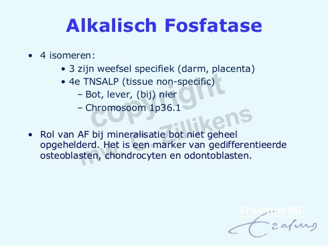 Seminar 08-10-2014 C. Zillikens