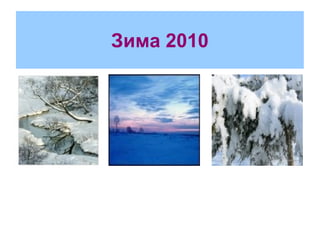 Зима 2010 