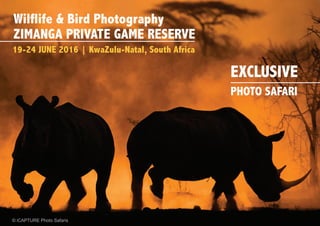 © iCAPTURE Photo Safaris
 