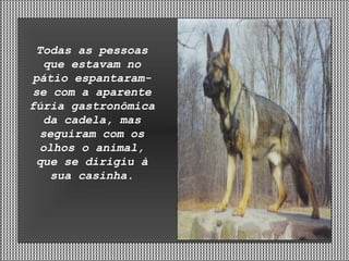 Todas as pessoas que estavam no pátio espantaram-se com a aparente fúria gastronômica da cadela, mas seguiram com os olhos o animal, que se dirigiu à sua casinha. 