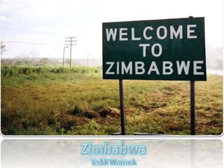 Zimbabwe TeddiWorrock 