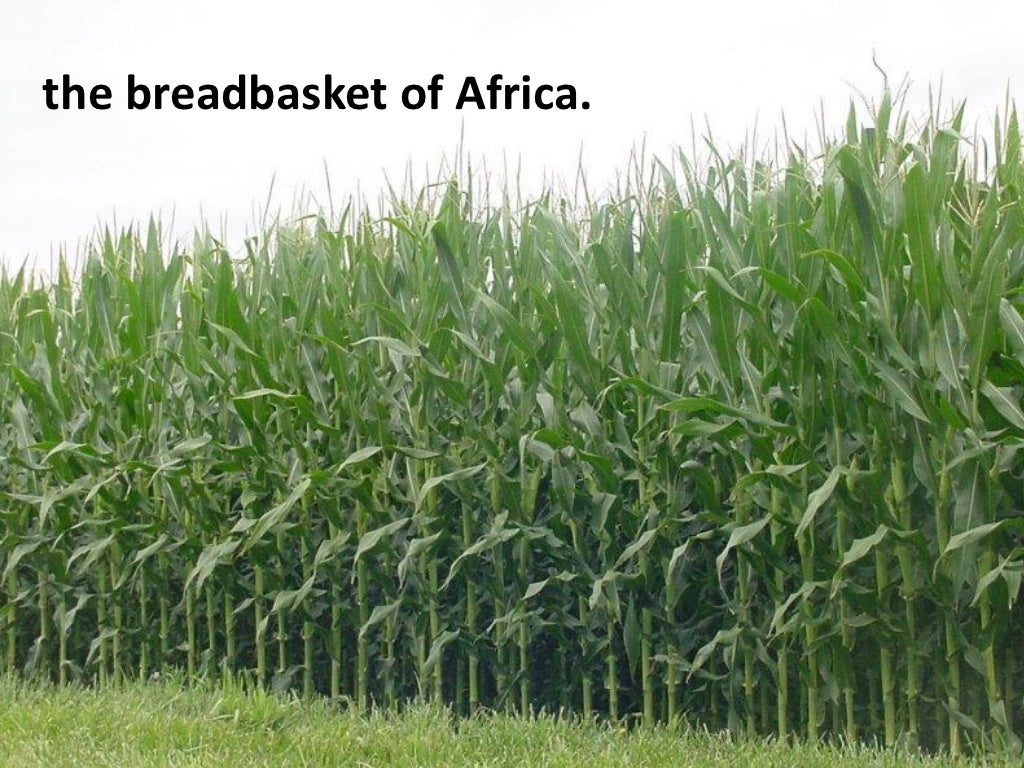 the breadbasket of Africa.