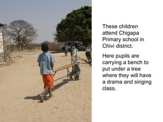 These children attend Chigapa Primary school in Chivi district.  Here pupils are carrying a bench to put under a tree where they will have a drama and singing class.  