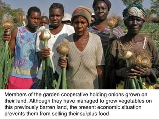 Members of the garden cooperative holding onions grown on their land. Although they have managed to grow vegetables on this previously barren land, the present economic situation prevents them from selling their surplus food   