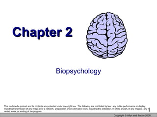 Chapter 2 Biopsychology Copyright  © Allyn and Bacon 2009 This multimedia product and its contents are protected under copyright law.  The following are prohibited by law:  any public performance or display, including transmission of any image over a network;  preparation of any derivative work, including the extraction, in whole or part, of any images;  any rental, lease, or lending of the program.  