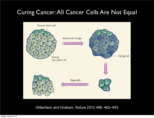 Zimmer Cancer 2013 Talk