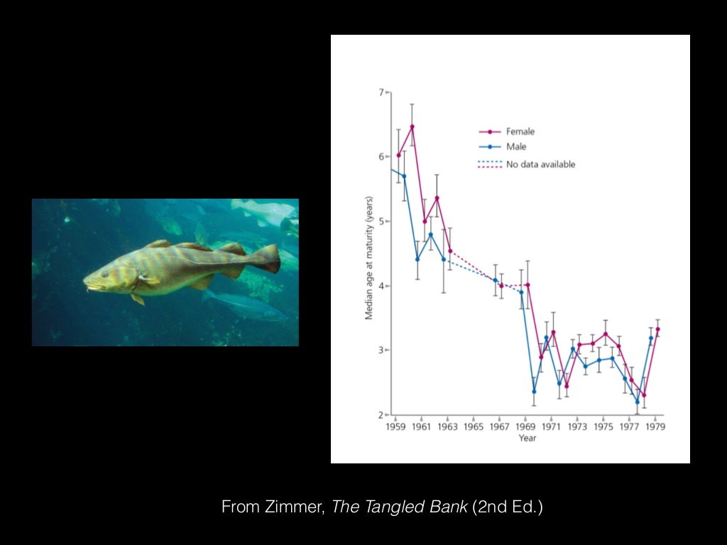 From Zimmer, The Tangled Bank