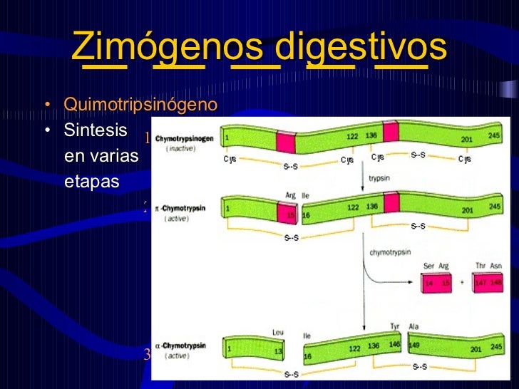 codigo de activacion winzip 23