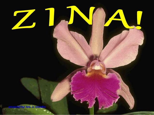 Zina