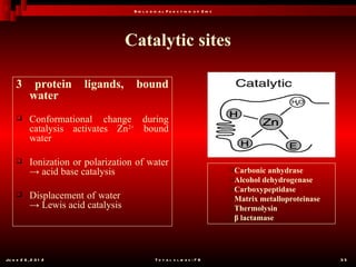 B io l o g ic a l F u n c t io n o f Z in c




                                     Catalytic sites

     3       protein     ligands,      bound
            water
           Conformational change during
            catalysis activates Zn2+ bound
            water

           Ionization or polarization of water
            → acid base catalysis                                                   Carbonic anhydrase
                                                                                    Alcohol dehydrogenase
                                                                                    Carboxypeptidase
           Displacement of water                                                   Matrix metalloproteinase
            → Lewis acid catalysis                                                  Thermolysin
                                                                                    β lactamase




Ju n e 2 6 , 2 0 1 2                             T o t a l s l id e s : 7 8                                     35
 