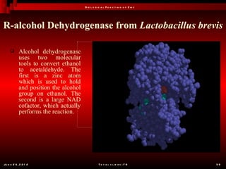 B io l o g ic a l F u n c t io n o f Z in c




R-alcohol Dehydrogenase from Lactobacillus brevis

           Alcohol dehydrogenase
            uses two molecular
            tools to convert ethanol
            to acetaldehyde. The
            first is a zinc atom
            which is used to hold
            and position the alcohol
            group on ethanol. The
            second is a large NAD
            cofactor, which actually
            performs the reaction.




Ju n e 2 6 , 2 0 1 2                              T o t a l s l id e s : 7 8         39
 