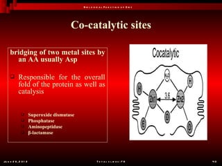 B io l o g ic a l F u n c t io n o f Z in c




                                         Co-catalytic sites

     bridging of two metal sites by
       an AA usually Asp

           Responsible for the overall
            fold of the protein as well as
            catalysis

                      Superoxide dismutase
                      Phosphatase
                      Aminopeptidase
                      β-lactamase




Ju n e 2 6 , 2 0 1 2                                     T o t a l s l id e s : 7 8         40
 