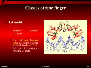 B io l o g ic a l F u n c t io n o f Z in c



                                   Classes of zinc finger

              C4 motif

                      Nuclear         hormone
                       receptors

                      E.g. Estrogen Receptor
                       (ER). ER forms a dimer.
                       Each ER binds to 2 Zn2+ .
                       All steroid receptors
                       have the C4 motif




Ju n e 2 6 , 2 0 1 2                                  T o t a l s l id e s : 7 8         43
 