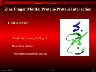 B io l o g ic a l F u n c t io n o f Z in c




     Zinc Finger Motifs: Protein-Protein Interaction


           LIM domain


                      2 tandemly repeating Zn-fingers

                      Homeobox proteins

                      Transcription regulatory proteins




Ju n e 2 6 , 2 0 1 2                                    T o t a l s l id e s : 7 8         46
 