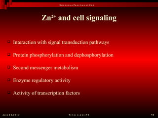 B io l o g ic a l F u n c t io n o f Z in c




                          Zn2+ and cell signaling

           Interaction with signal transduction pathways

           Protein phosphorylation and dephosphorylation

           Second messenger metabolism

           Enzyme regulatory activity

           Activity of transcription factors


Ju n e 2 6 , 2 0 1 2                          T o t a l s l id e s : 7 8         48
 