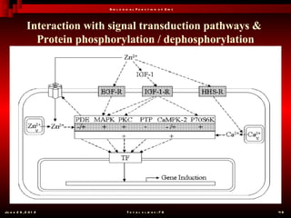 B io l o g ic a l F u n c t io n o f Z in c



              Interaction with signal transduction pathways &
                Protein phosphorylation / dephosphorylation




Ju n e 2 6 , 2 0 1 2                     T o t a l s l id e s : 7 8         49
 