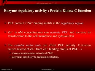 B io l o g ic a l F u n c t io n o f Z in c




    Enzyme regulatory activity : Protein Kinase C function


           PKC contain 2 Zn2+ binding motifs in the regulatory region

           Zn2+ in nM concentrations can activate PKC and increase its
            translocation to the cell membrane and cytoskeleton

           The cellular redox state can affect PKC activity: Oxidation
            causes release of Zn2+ from Zn2+ binding motifs of PKC →
                      increases autonomous activity of PKC,
                      decreases sensitivity to regulating cofactors.



Ju n e 2 6 , 2 0 1 2                                     T o t a l s l id e s : 7 8         52
 
