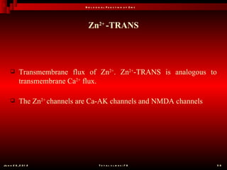 B io l o g ic a l F u n c t io n o f Z in c




                                 Zn2+ -TRANS




           Transmembrane flux of Zn2+. Zn2+-TRANS is analogous to
            transmembrane Ca2+ flux.

           The Zn2+ channels are Ca-AK channels and NMDA channels




Ju n e 2 6 , 2 0 1 2                      T o t a l s l id e s : 7 8         56
 