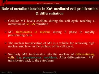 B io l o g ic a l F u n c t io n o f Z in c



Role of metallothioneins in Zn2+ mediated cell proliferation
                    & differentiation
           Cellular MT levels oscillate during the cell cycle reaching a
            maximum at G1→S transition.

           MT translocates to nucleus during S phase in rapidly
            proliferating cells.

           The nuclear translocation of MT is a vehicle for achieving high
            nuclear zinc level in the S-phase of the cell cycle.

           Similarly MT translocates into the nucleus of differentiating
            cells. E.g. preadipocytes, myoblasts. After differentiation, MT
            translocates back to the cytoplasm.


Ju n e 2 6 , 2 0 1 2                        T o t a l s l id e s : 7 8         59
 