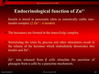 B io l o g ic a l F u n c t io n o f Z in c




                       Endocrinological function of Zn2+
           Insulin is stored in pancreatic islets as osmotically stable zinc-
            insulin complex (2 Zn2+ : 6 insulin)

           The hexamers are formed in the trans-Golgi complex.

           Stimulating the islets by glucose and other stimulators result in
            the release of the hexamer which immediately dissociates into
            insulin and Zn2+.

           Zn2+ ions released from β cells stimulate the secretion of
            glucagon from α cells by a paracrine mechanism.

Ju n e 2 6 , 2 0 1 2                         T o t a l s l id e s : 7 8          66
 