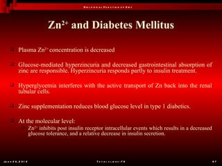 B io l o g ic a l F u n c t io n o f Z in c




                                Zn2+ and Diabetes Mellitus

           Plasma Zn2+ concentration is decreased

           Glucose-mediated hyperzincuria and decreased gastrointestinal absorption of
            zinc are responsible. Hyperzincuria responds partly to insulin treatment.

           Hyperglycemia interferes with the active transport of Zn back into the renal
            tubular cells.

           Zinc supplementation reduces blood glucose level in type 1 diabetics.

           At the molecular level:
                      Zn2+ inhibits post insulin receptor intracellular events which results in a decreased
                       glucose tolerance, and a relative decrease in insulin secretion.



Ju n e 2 6 , 2 0 1 2                                       T o t a l s l id e s : 7 8                          67
 