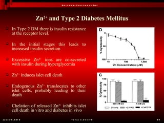 B io l o g ic a l F u n c t io n o f Z in c




                       Zn2+ and Type 2 Diabetes Mellitus
         In Type 2 DM there is insulin resistance
          at the receptor level.

         In the initial stages this leads to
          increased insulin secretion

         Excessive Zn2+ ions are co-secreted
          with insulin during hyperglycemia

         Zn2+ induces islet cell death

         Endogenous Zn2+ translocates to other
          islet cells, probably leading to their
          death

         Chelation of released Zn2+ inhibits islet
          cell death in vitro and diabetes in vivo
Ju n e 2 6 , 2 0 1 2                             T o t a l s l id e s : 7 8         69
 