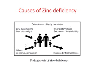 Causes of Zinc deficiency
 