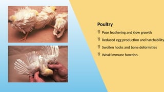 ZINC DEFICIENCY (HYPOZINCEMIA) in Animals | PPTX