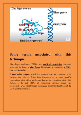 Zinc finger | PDF