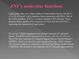  C2H2 ZNFs, there are a large number of transcription factors with the C-
x-C-x-H-x-H motif, which mediates direct interaction with DNA. One of
the C2H2 members, ZNF217, contains multiple C2H2 domains. These
domains bind a specific DNA sequence (T/A)(G/A)CAGAA(T/G/C),
repressing the expression of target genes.
 The group of RING domain proteins include numerous E3-ubiquitin
ligases. The RING-motif structure is C-x-C-x-C-x-H-x-C-x-C-x-C-x-C.
One of the most important E3-ubiquitin ligases, Mouse Double Minute 2
(MDM2), which is involved in cancer progression, has a RING domain.
This domain mediates its interaction with itself and Mouse Double Minute
4 (MDM4). This domain is also important for E3-ubiquitin ligase activity.
 