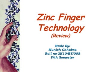 Zinc Finger
Technology
    (Review)
       Made By:
   Munish Chhabra
 Roll no-2K10/BT/008
    IVth Semester
 
