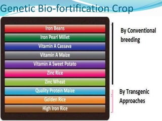 Genetic Bio-fortification Crop
 