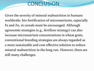 CONCLUSION
Given the severity of mineral malnutrition in humans
worldwide, bio-fortification of micronutrients, especially
Fe and Zn, in cereals must be encouraged. Although
agronomic strategies (e.g., fertilizer strategy) can also
increase micronutrient concentrations in wheat grain,
conventional breeding strategies are always regarded as
a more sustainable and cost-effective solution to reduce
mineral malnutrition in the long run. However, there are
still many challenges.
 