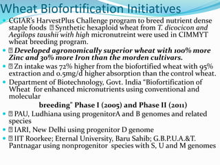 Wheat Biofortification Initiatives
 CGIAR’s HarvestPlus Challenge program to breed nutrient dense
staple foods Synthetic hexaploid wheat from T. dicocicon and
Aegilops taushii with high micronutreint were used in CIMMYT
wheat breeding program.
 Developed agronomically superior wheat with 100% more
Zinc and 30% more Iron than the morden cultivars.
 Zn intake was 72% higher from the biofortified wheat with 95%
extraction and 0.5mg/d higher absorption than the control wheat.
 Department of Biotechnology, Govt. India “Biofortification of
Wheat for enhanced micronutrients using conventional and
molecular
breeding" Phase I (2005) and Phase II (2011)
 PAU, Ludhiana using progenitorA and B genomes and related
species
 IARI, New Delhi using progenitor D genome
 IIT Roorkee; Eternal University, Baru Sahib; G.B.P.U.A.&T.
Pantnagar using nonprogenitor species with S, U and M genomes
 