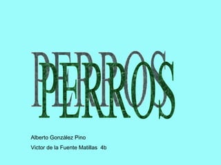 PERROS Alberto González Pino Victor de la Fuente Matillas  4b 