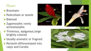 Flower:
 Bracteate
 Pedicellate or sessile
 Bisexual
 Zygomorphic rarely
actinomorphic
 Trimerous, epigynous,large
brightly colored
 Usually aromatic or fragrant
 Perianth differentiated into
calyx and Corolla
 