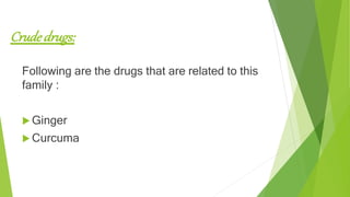Crudedrugs:
Following are the drugs that are related to this
family :
 Ginger
 Curcuma
 