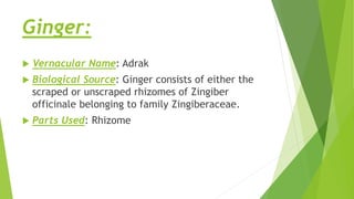 Ginger:
 Vernacular Name: Adrak
 Biological Source: Ginger consists of either the
scraped or unscraped rhizomes of Zingiber
officinale belonging to family Zingiberaceae.
 Parts Used: Rhizome
 