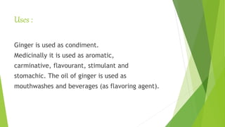 Uses :
Ginger is used as condiment.
Medicinally it is used as aromatic,
carminative, flavourant, stimulant and
stomachic. The oil of ginger is used as
mouthwashes and beverages (as flavoring agent).
 
