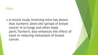 Uses:
 A recent study involving mice has shown
that turmeric slows the spread of breast
cancer in to lungs and other body
parts.Turmeric also enhances the effect of
taxol in reducing metastasis of breast
cancer.
 
