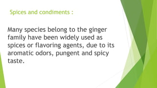 Spices and condiments :
Many species belong to the ginger
family have been widely used as
spices or flavoring agents, due to its
aromatic odors, pungent and spicy
taste.
 
