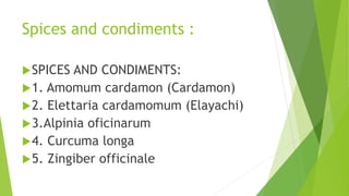 Spices and condiments :
SPICES AND CONDIMENTS:
1. Amomum cardamon (Cardamon)
2. Elettaria cardamomum (Elayachi)
3.Alpinia oficinarum
4. Curcuma longa
5. Zingiber officinale
 