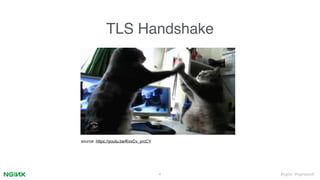#nginx #nginxconf
TLS Handshake
4
source: https://youtu.be/KvxCv_yrcCY
 