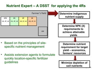 Nutrient Expert – A DSST  for applying the 4Rs Determine indigenous  nutrient supply Determine NPK (X) requirements to ach...