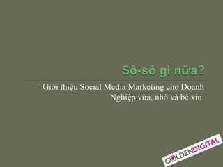 Giới thiệu Social Media Marketing cho Doanh
                   Nghiệp vừa, nhỏ và bé xíu.
 