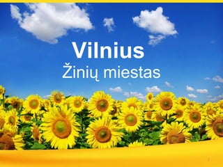 Vilnius   Žinių miestas 