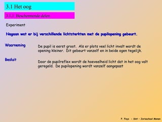 3.1 Het oog
3.1.1 Beschermende delen

Experiment

Nagaan wat er bij verschillende lichtsterkten met de pupilopening gebeurt.


Waarneming       De pupil is eerst groot. Als er plots veel licht invalt wordt de
                 opening kleiner. Dit gebeurt vanzelf en in beide ogen tegelijk.

Besluit
                 Door de pupilreflex wordt de hoeveelheid licht dat in het oog valt
                 geregeld. De pupilopening wordt vanzelf aangepast




                                                                    P. Feys - Sint – Jorisschool Menen
 