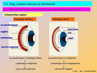 3.5 Oog, camera obscura en fototoestel
  3.5.1 Hoe wordt het beeld scherp gesteld als de voorwerpsafstand veranderd?

   Scherpstellen ooglens

               Voorwerp dichtbij                   Voorwerp veraf

accomodatiespier

                                                                    hoornvlies
ooglens                                                             iris

lensbandjes                                                         pupil



voorste oogkamer




          Accomodatiespier is samengetrokken   Accomodatiespier is ontspannen

                 Lensbandjes ontspannen           Lensbandjes wordt aangespannen

                 Lens is sterk gekromd                Lens wordt afgeplat
                                                                         P. Feys - Sint – Jorisschool Menen
 