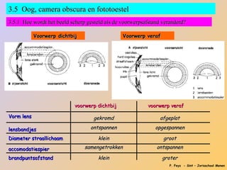 3.5 Oog, camera obscura en fototoestel
3.5.1 Hoe wordt het beeld scherp gesteld als de voorwerpsafstand veranderd?

            Voorwerp dichtbij                   Voorwerp veraf




                            voorwerp dichtbij             voorwerp veraf

Vorm lens                          gekromd                     afgeplat

lensbandjes                       ontspannen                 opgespannen

Diameter straallichaam               klein                       groot

accomodatiespier                samengetrokken                ontspannen

brandpuntsafstand                    klein                       groter
                                                                   P. Feys - Sint – Jorisschool Menen
 